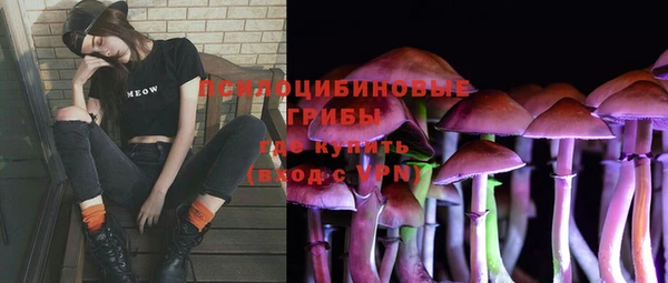 таблы Протвино
