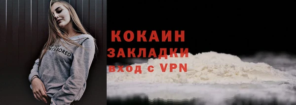 стаф Богородицк