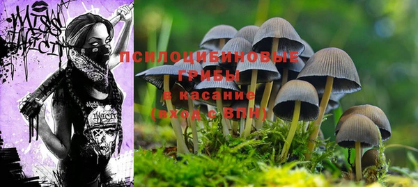 дистиллят марихуана Богородск