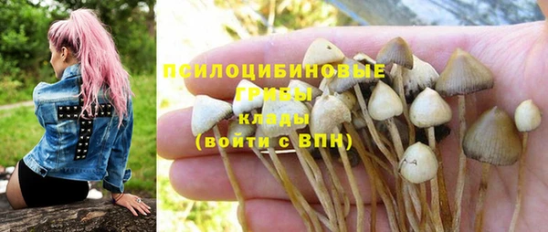 стаф Богородицк