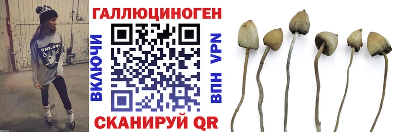магазин продажи   Сковородино  Псилоцибиновые грибы мухоморы 